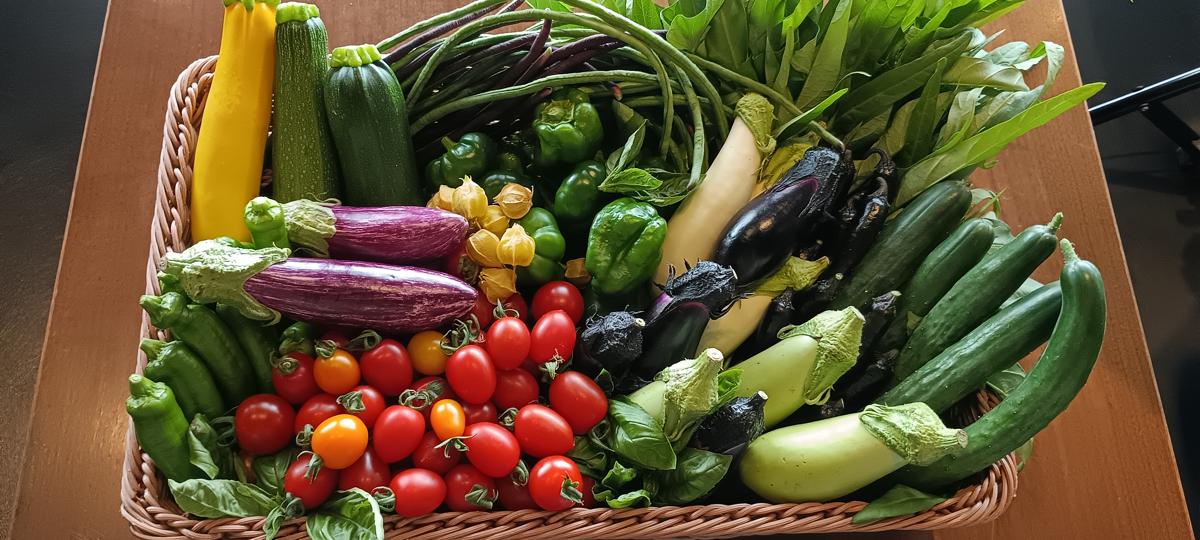 後志有機農業ネットワーク