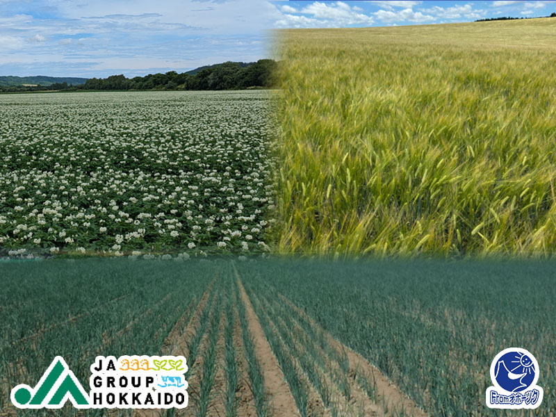 JAグループオホーツク