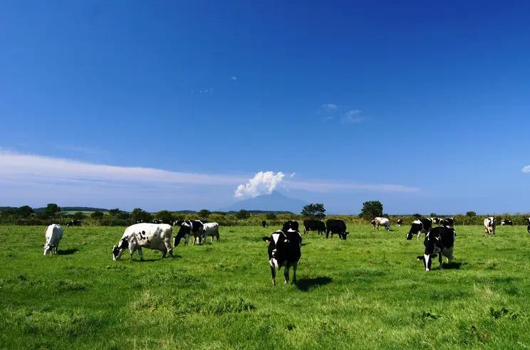 【宗谷】最北端農村クロスロード交流会