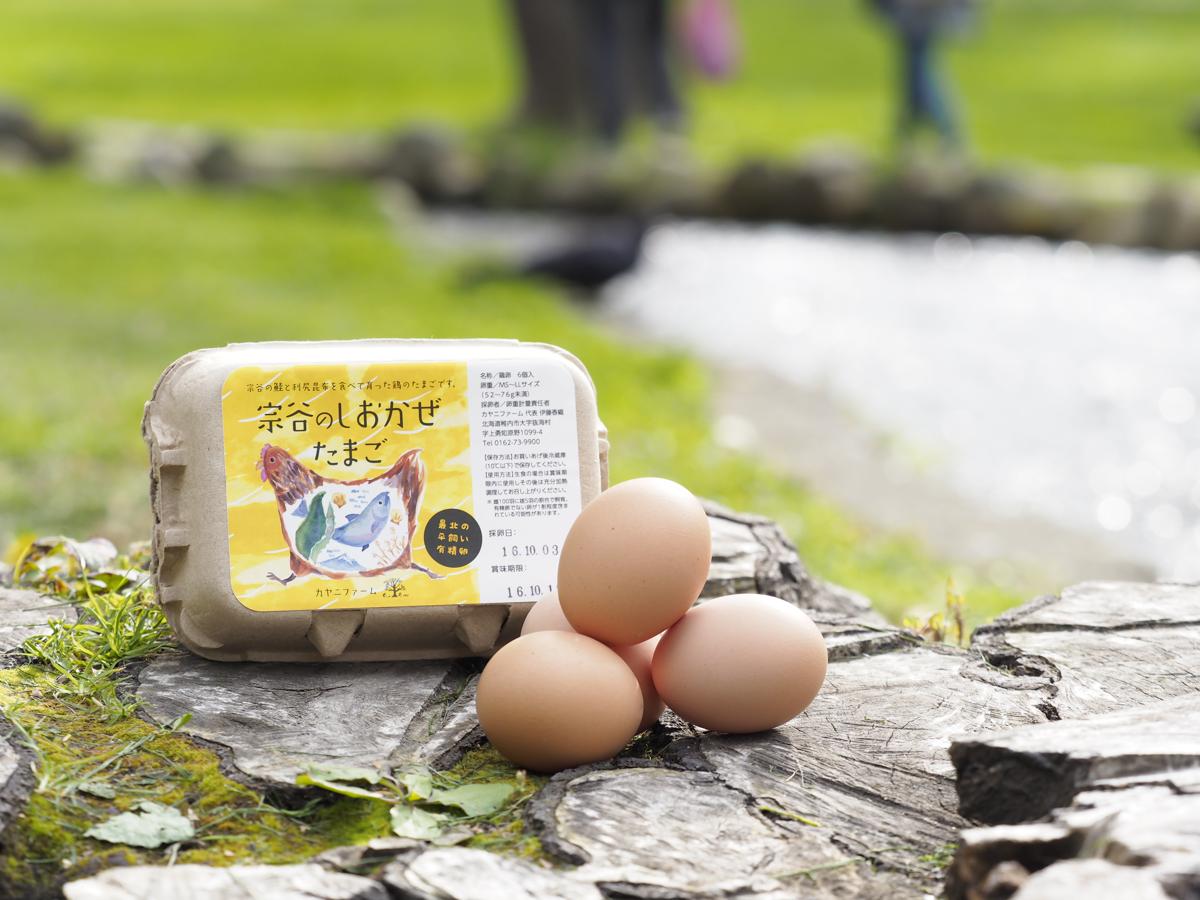 【宗谷】最北端農村クロスロード交流会