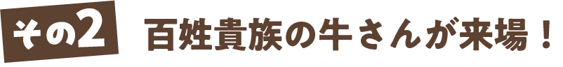 百姓貴族の牛さんが来場！