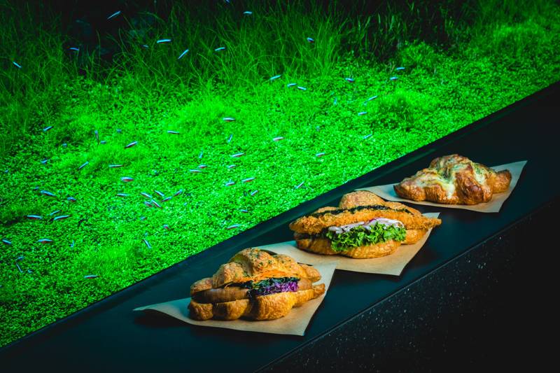 シロクマベーカリー＆